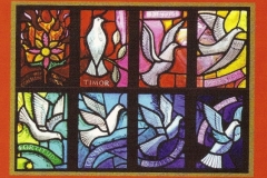 Dove Windows